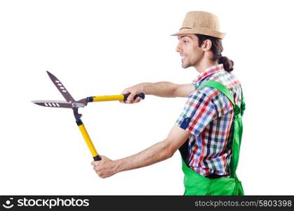 Man gardener with shears on white