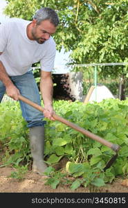 Man gardening