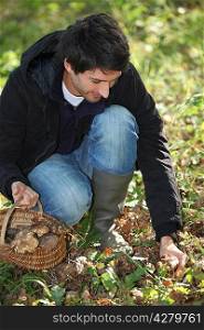 Man gathering mushrooms in basket