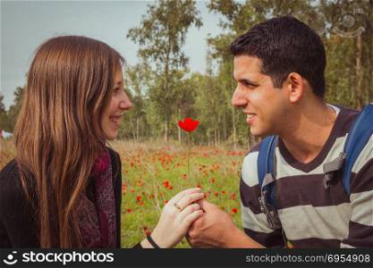 Man giving a woman single red anemone flower in anemones field.