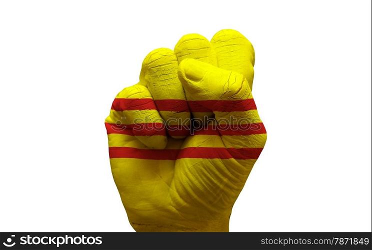man hand fist painted country flag of south vietnam