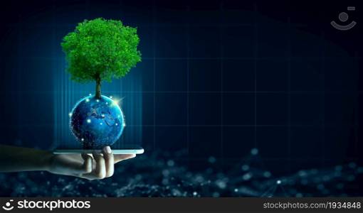 Man hand holding smartphone with Technology Economic. Tree growing on Earth and wireframe background. Green computing, Green IT, csr, and IT ethics Concept.