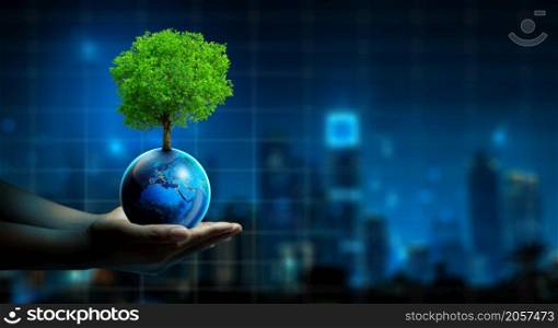 Man hand holding Tree on Earth with Technology Economic. Tree growing on Earth and Night city background. Green computing, Green IT, csr, and IT ethics, and Saving Energy Concept.