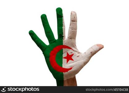 man hand palm painted flag of algeria