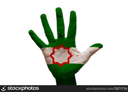 man hand palm painted flag of andalusia