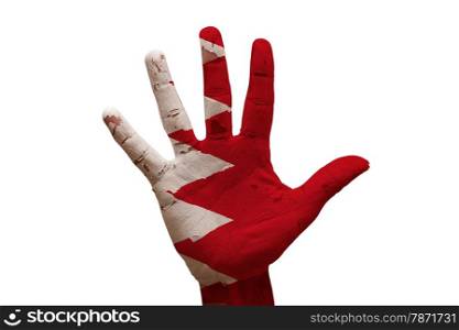 man hand palm painted flag of bahrain