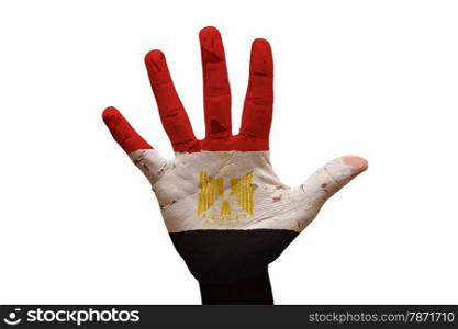 man hand palm painted flag of egypt