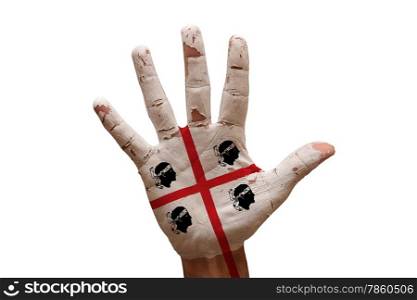 man hand palm painted flag of sardinia