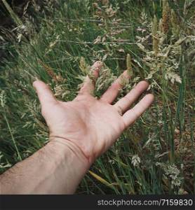 man hand touching and feeling the plants in the nature