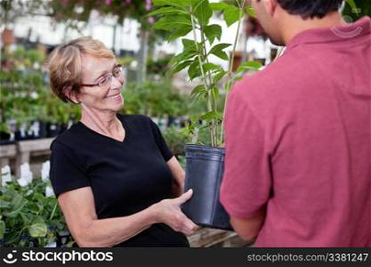 Man handing over potted plant to female customer