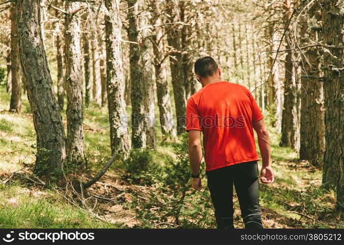 Man Having a Walk in the Forest