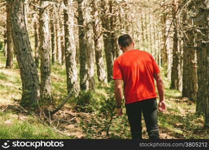Man Having a Walk in the Forest