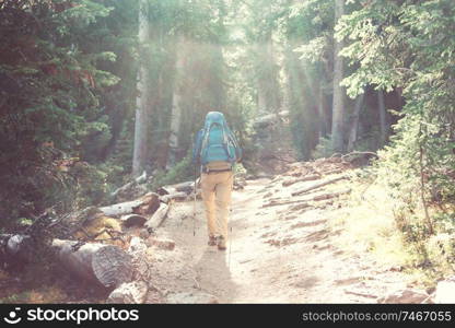 Man hiking bay the trail in the forest.