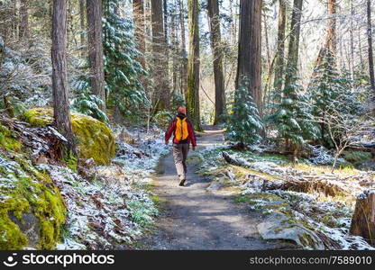 Man hiking bay the trail in the forest.Nature leisure hike travel outdoor