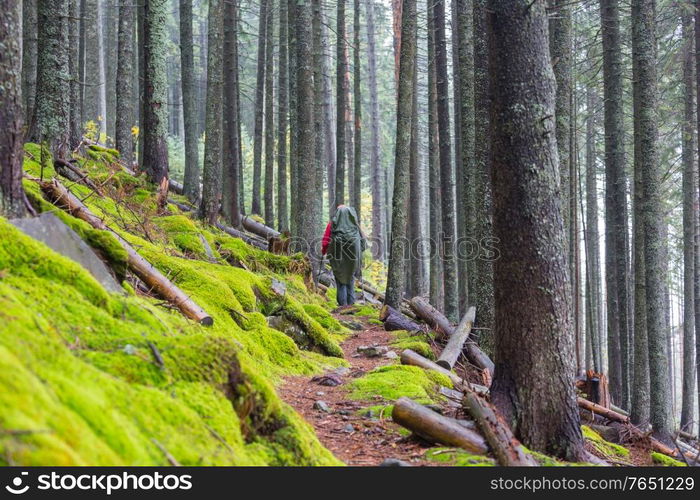 Man hiking bay the trail in the forest.Nature leisure hike travel outdoor