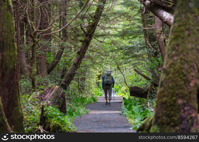 Man hiking bay the trail in the forest.Nature leisure hike travel outdoor