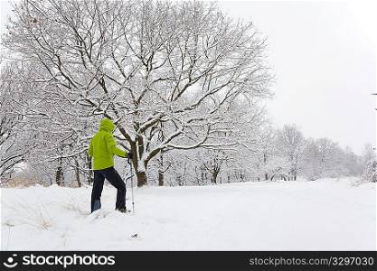 Man hiking on snowshoes in winter forest during a blizzard. Horizontal frame.