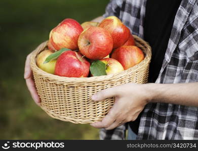 Man holding a basket full of red ripe apples.