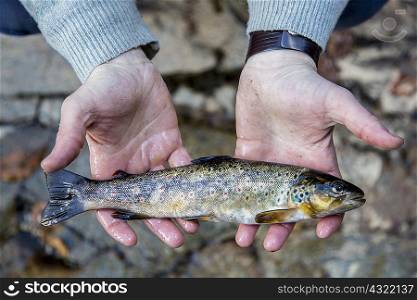Man holding freshly caught fish