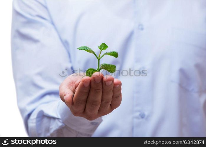 Man holding green seedling isolated on white