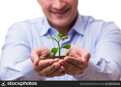 Man holding green seedling isolated on white