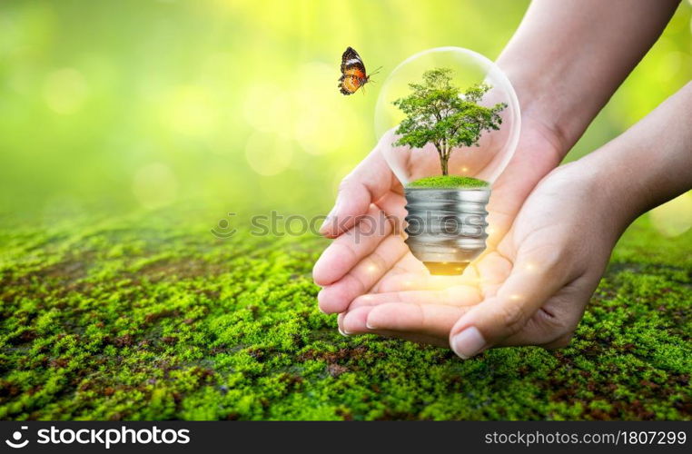 man holding light bulb with tree inside concept tree environmental conservation
