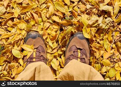 Man in hiking shoes on autumn leaves