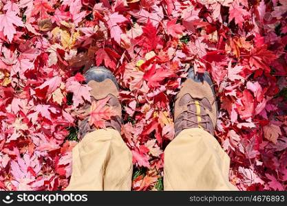 Man in hiking shoes on autumn maple leaves