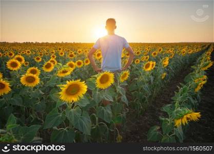 Man in meadow of sunflower at sunset. Nature and conceptual composition.