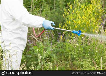 Man in protective workwear spraying herbicide on ragweed