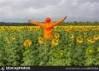 Man in sunflowers field. Man in orange clother in sunner sunflowers field