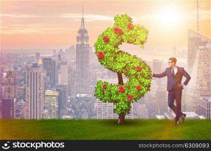 Man in sustainable investment concept