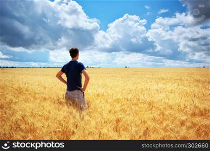 Man in yellow wheat meadow. Conceptual design. Agricultural scene.