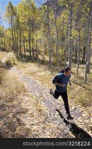 Man Jogging Through Aspen Grove