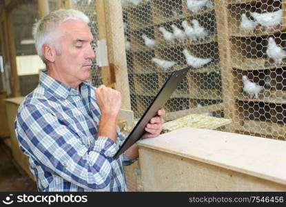 Man looking at clipboard in aviary