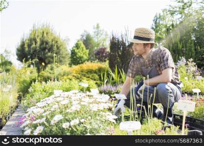 Man looking away while gardening at plant nursery