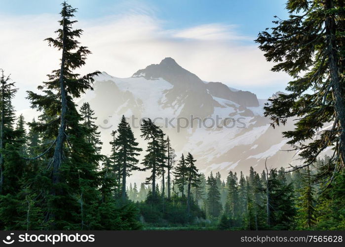 Man looking on Beautiful peak Mount Shuksan in Washington, USA