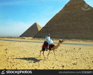 Man on a camel in front of the pyramids, Giza Pyramids, Giza, Cairo, Egypt