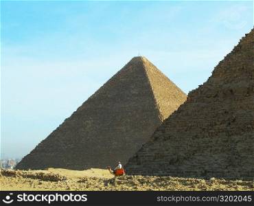 Man on a camel in front of the pyramids, Giza Pyramids, Giza, Cairo, Egypt