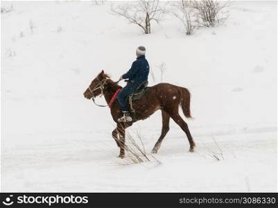 man on a horse in the winter mountains. the horse and rider, winter