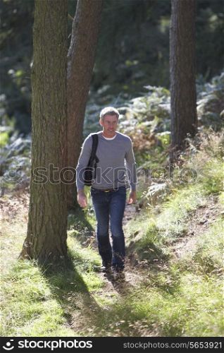 Man On Country Walk Through Woodland