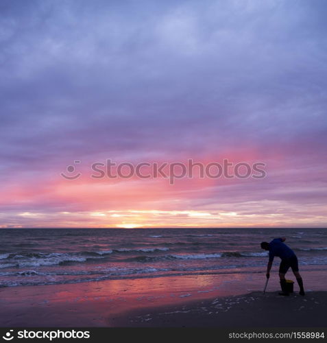 man on normandy beach during colorful sunset looks for worms to use as bait for fishing