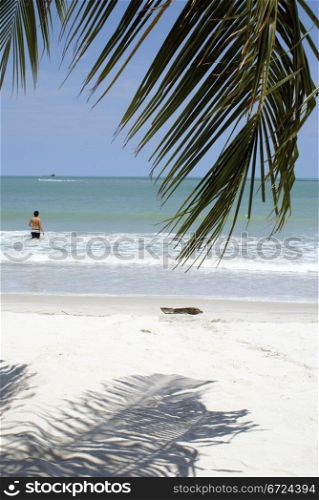 Man on the beach near palm tree, Langkawi