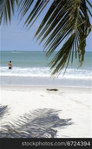 Man on the beach near palm tree, Langkawi