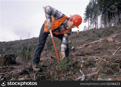 Man Planting a Tree