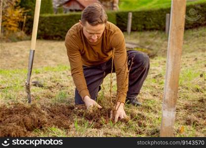 Man plants tree in the garden. Nature, environment and ecology concept. Man plants tree in the garden. Nature, environment and ecology concept.