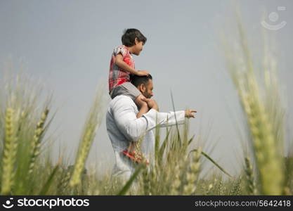 Man pointing at something while carrying little boy on shoulders
