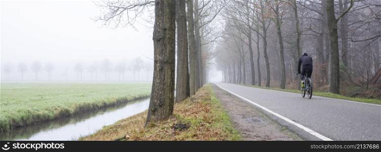 man rides bicycle on tree lined country road near foggy winter meadow in holland near utrecht