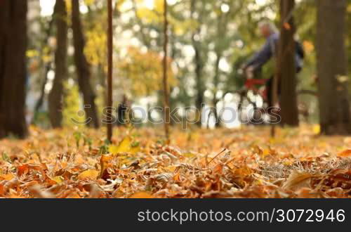 man riding a bicycle in autumn park