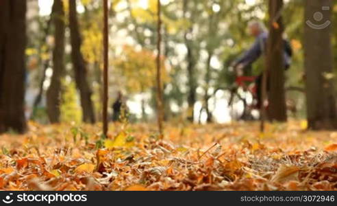 man riding a bicycle in autumn park